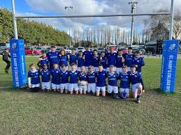 Image result for St Mary's Old Boys Rugby Union Football Club