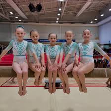 Image result for Uckfield Gymnastics Club