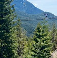 Image result for Firs (Cs) Badminton Club