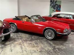 Image result for Antelope 1984 Jaguar