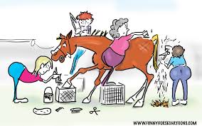 Image result for Thames Valley Riding Club