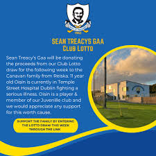 Image result for Sean Treacy`s Hurling Club