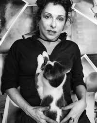 Image result for Schneemann