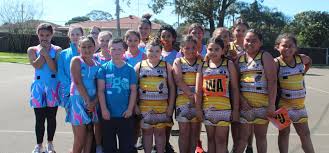 Image result for Didcot Netball Club