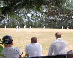 Image result for Brigg Town Cricket Club