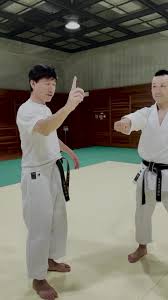 Image result for Vision Martial Arts