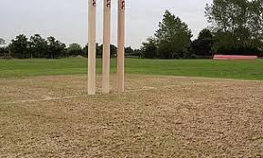 Image result for Kingsley Cricket Club