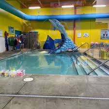 Image result for Loftus Dolphins Swimming Club