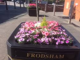 Image result for Frodsham Cc