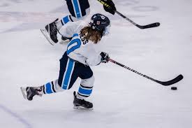 Image result for Havering Skater Hockey Club