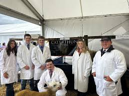 Image result for Teamsheep