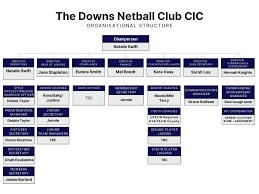 Image result for The Downs Netball Club