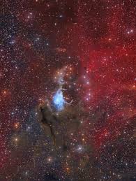 Attēlu rezultāti vaicājumam “Leptophlebia nebulosa”