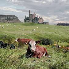 Image result for Mullaghmore