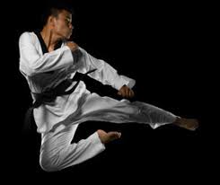 Image result for Karstadt TaeKwonDo