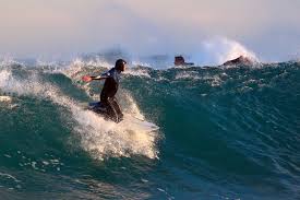 Image result for The British Kneeboard Surfing Club