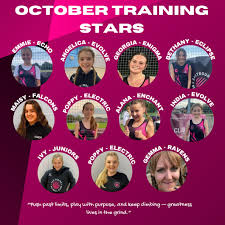 Image result for Ashby netball club