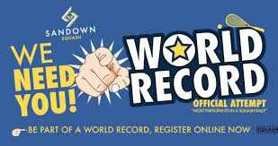 Image result for Sandown Sports Club