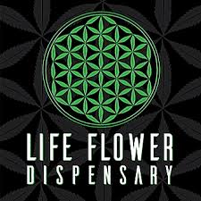 Image result for life flower