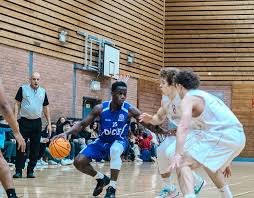 Image result for Arrows Basketball Club
