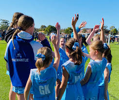 Image result for Shelley Netball Club