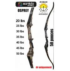 Image result for Osprey Archery Club