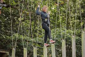 Image result for Oxshott Village Cricket Club