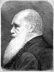 File:Darwin MI 1882.jpg