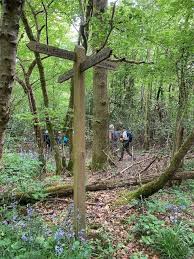 Image result for Ramblers Association - Mole Valley Group