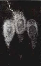 Image result for Jakub Jodko-Narkiewicz Kirlian