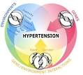 Arterial hypertension | hypertension treatment