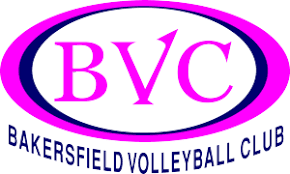 Image result for Bournside Volleyball Club
