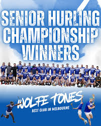 Image result for Wolfe Tones Gaelic Athletic Club