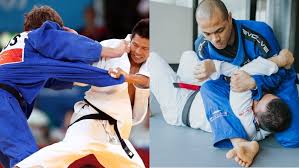Image result for Judo/Ju-Jitsu Self Defence