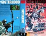 VHS WASTELAND, YOUR HOME FOR HIGH RESOLUTION SCANS OF RARE ...