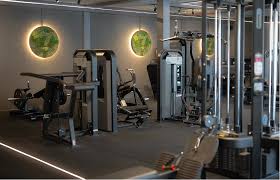 Image result for Inshape Fitness