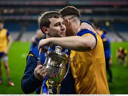 Image result for Patrick Sarsfield Gaelic Athletic Club