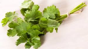Image result for Koriander