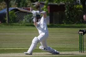 Image result for Barnards Green Cricket Club