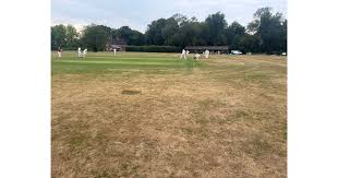 Image result for Hollingworth Cricket Club