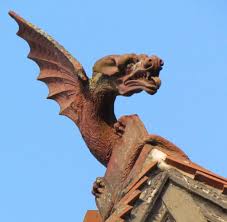 Image result for leicester dragons