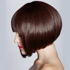 Image result for Bob