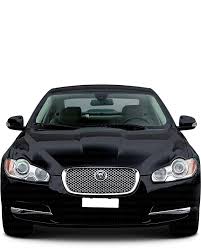 Image result for Silver Fox 2008 Jaguar