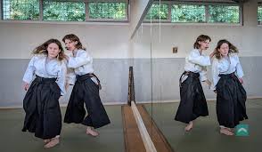 Image result for AikidoFlow
