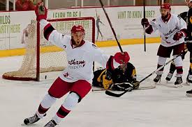 Image result for Streatham Redskins