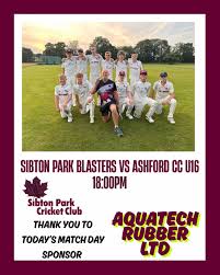 Image result for Sibton Park Cricket Club
