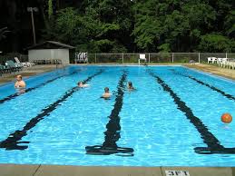 Image result for Downham & District Swimming Club
