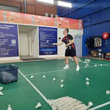 Image result for Springhill Junior Badminton Club