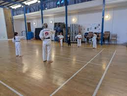 Image result for Alleyn School Of Japanese Karate