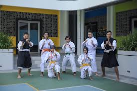 Image result for Durham University Shorinji Kempo Society Club